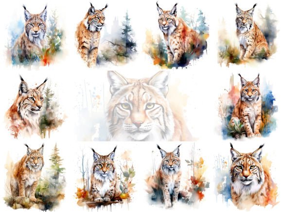 Download Lynx Digital Watercolor Clipart Set - Digital watercolor Collection